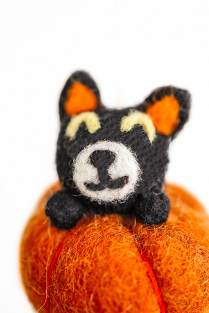 Cat in Pumpkin Ornament