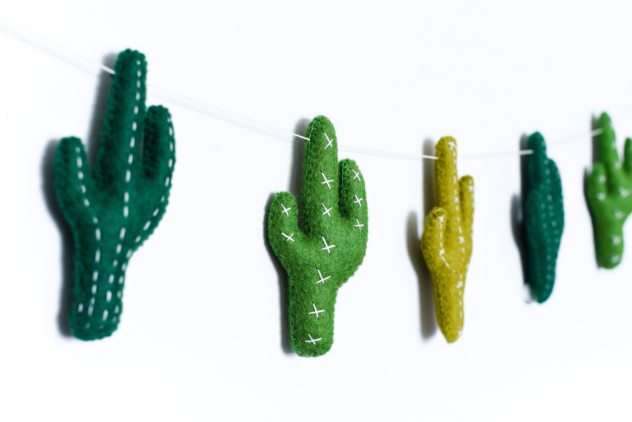 Cactus with embroidery details on white background 